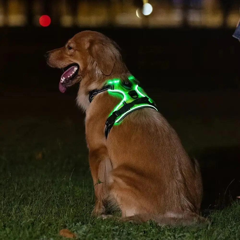 Light Up LED Dog Harness Adjustable Rechargeable Luminous Pet Chest Strap Flashing Padded Collar Dog Glow Vest for Night Walking