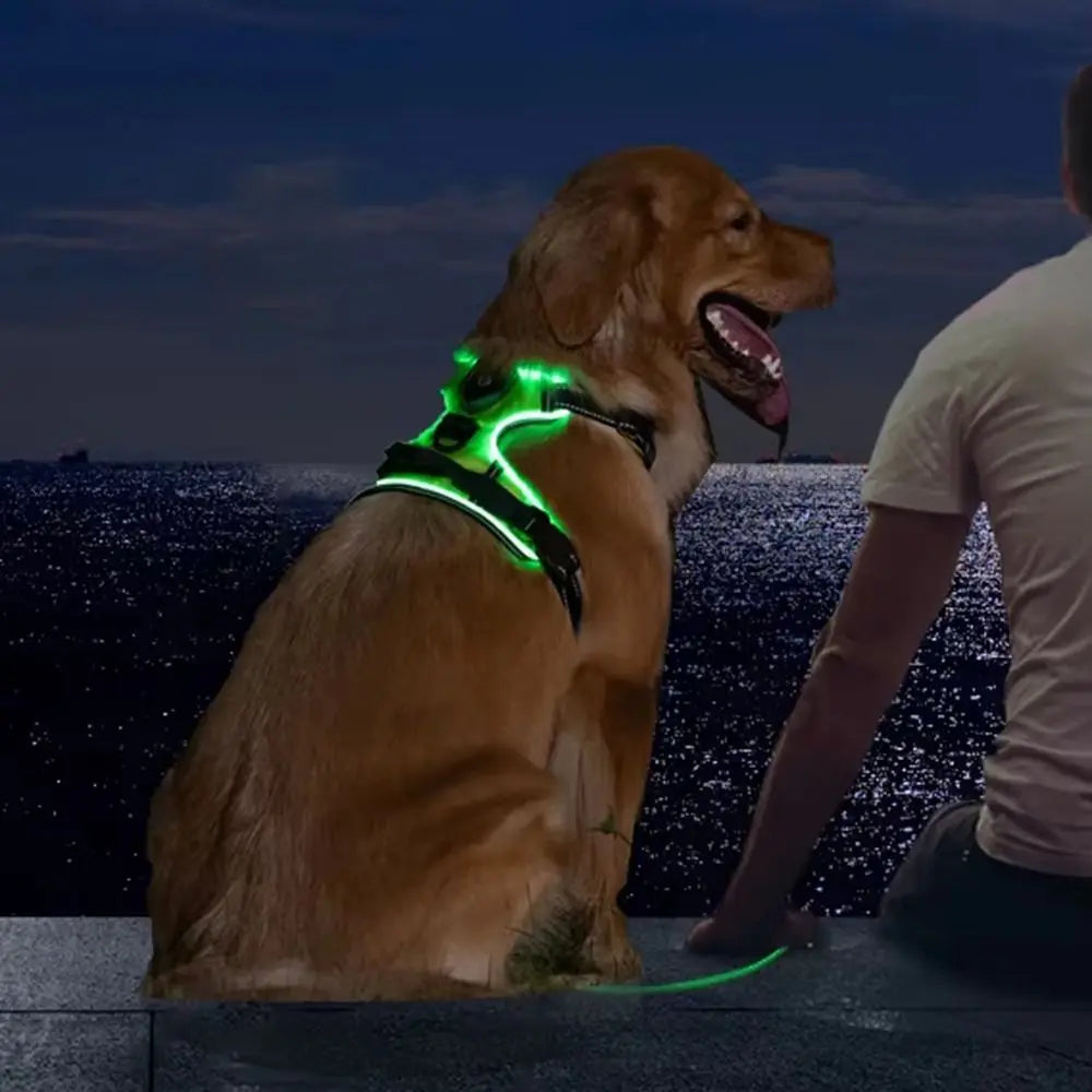 Light Up LED Dog Harness Adjustable Rechargeable Luminous Pet Chest Strap Flashing Padded Collar Dog Glow Vest for Night Walking